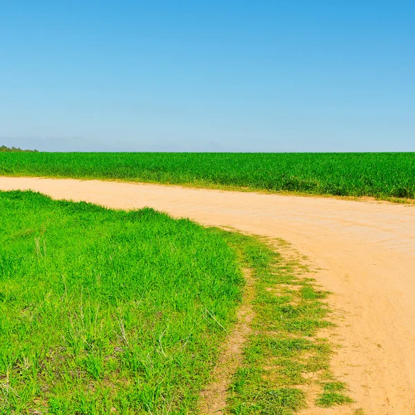 Fields in Israel — Stock Photo, Image