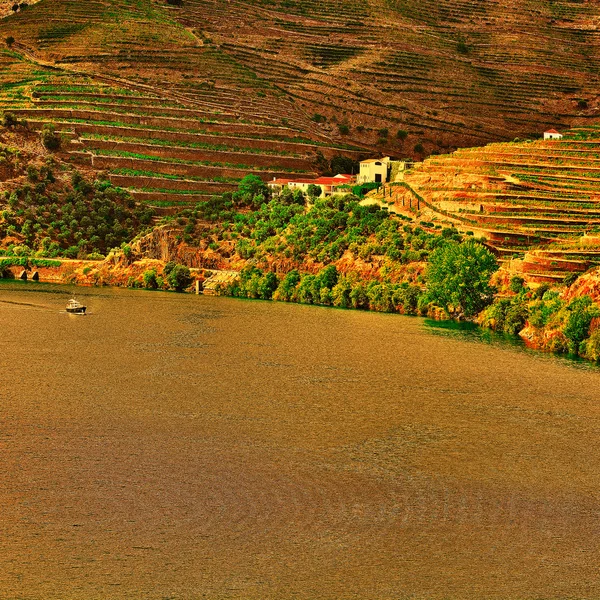 Ποταμού Douro — Φωτογραφία Αρχείου