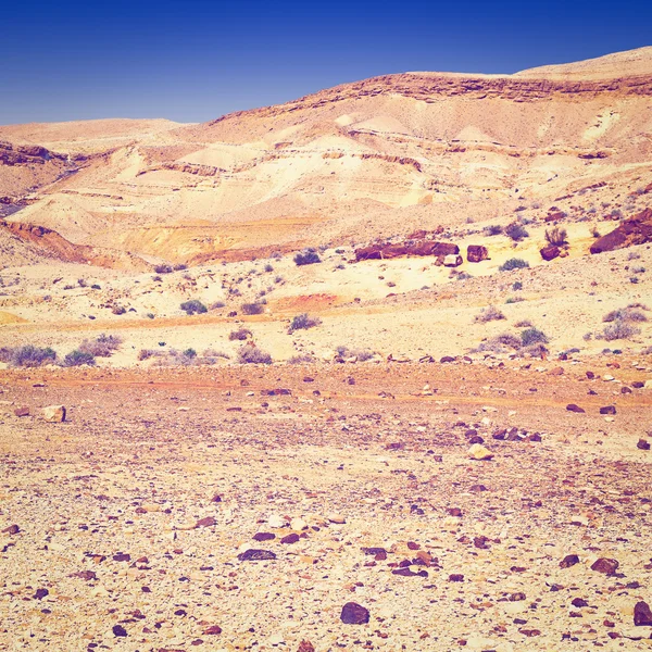 Deserto in Israele — Foto Stock