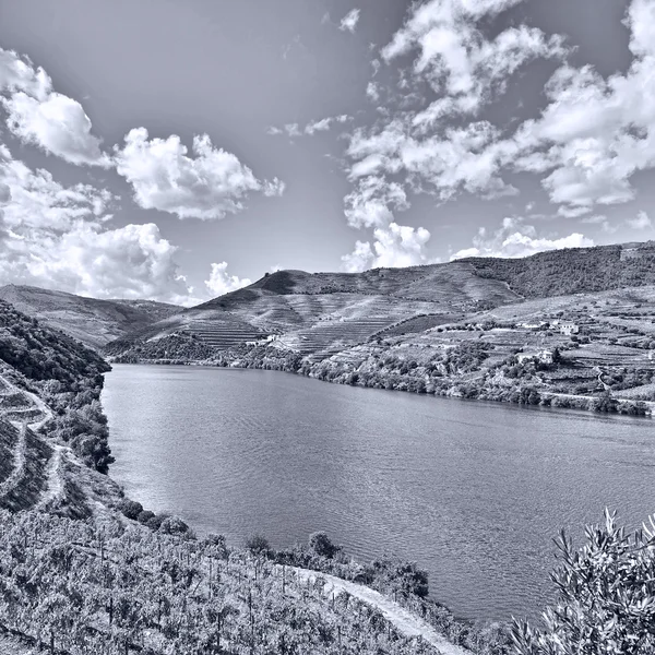 The River Douro — Stock Photo, Image