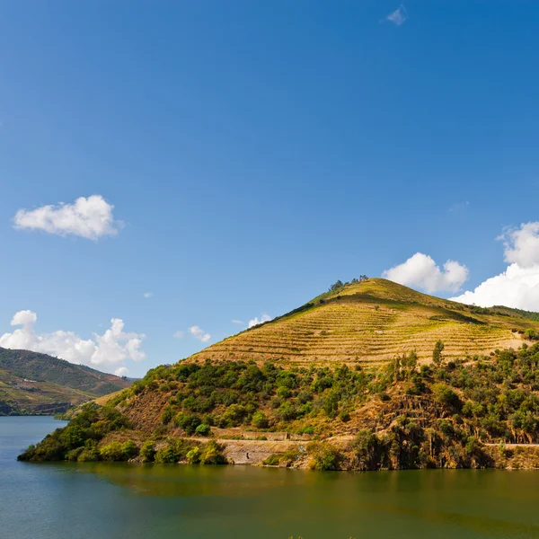 O rio Douro — Fotografia de Stock