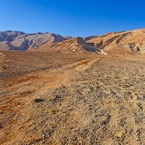 La ventana de cristal — Foto de Stock