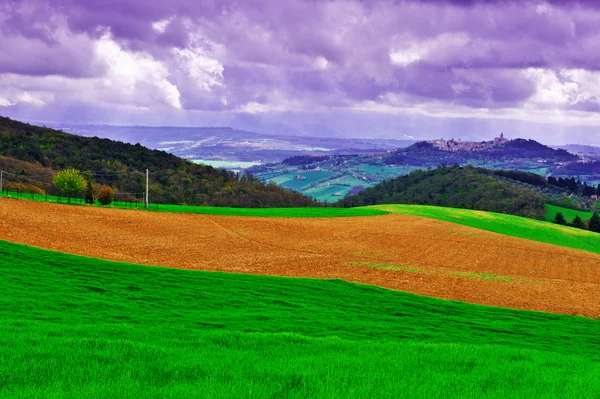 Meadows in Tuscany — Stock Photo, Image