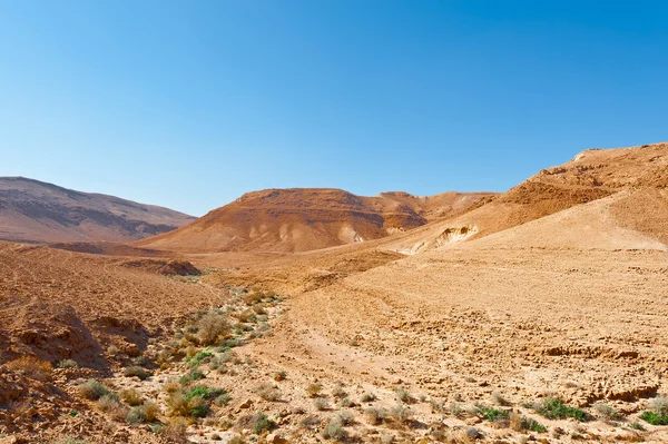 Deserto in Israele — Foto Stock