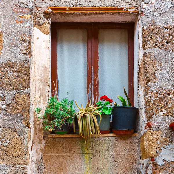 Window in Italy — Stock Photo, Image