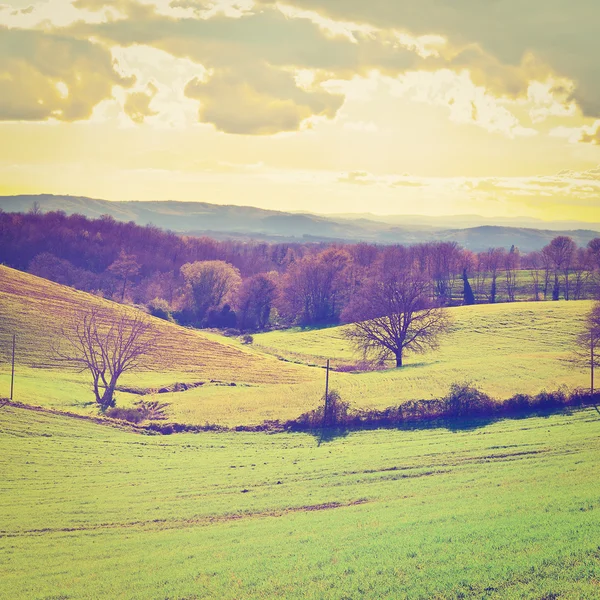 Les prairies de Toscane — Photo