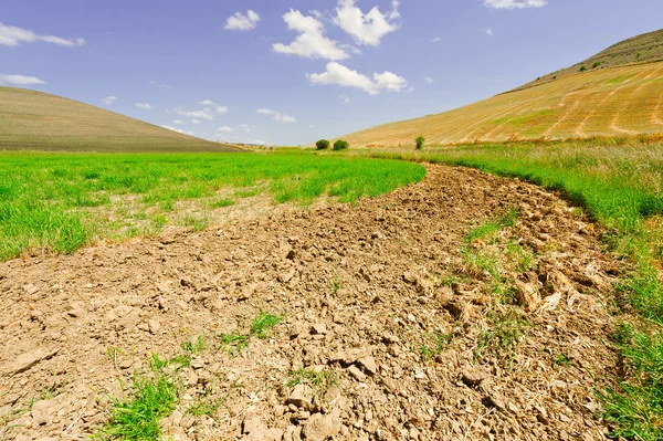 Campos en Italia — Foto de Stock