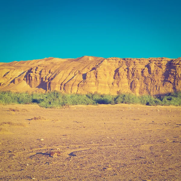 Desierto en Israel — Foto de Stock