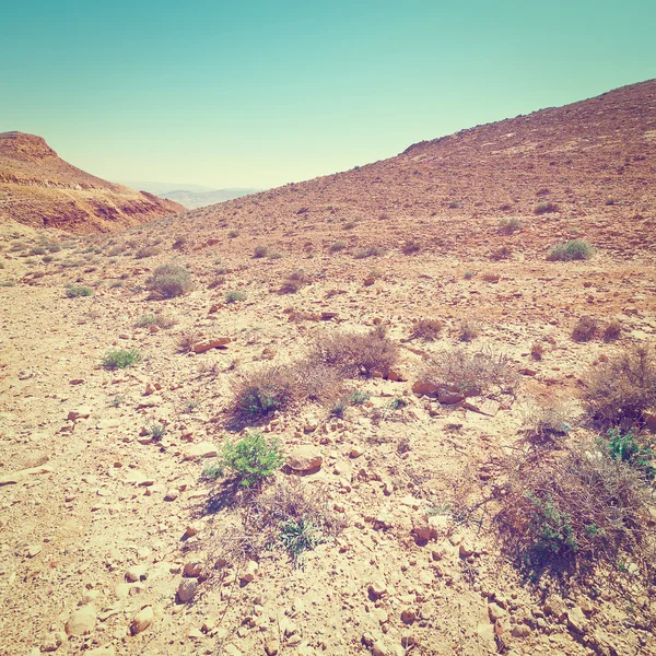 Deserto em Israel — Fotografia de Stock