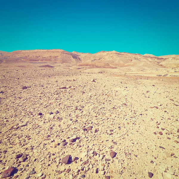 Pustynia w Izraelu — Zdjęcie stockowe