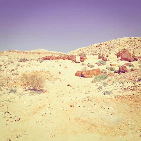 İsrail'de çöl — Stok fotoğraf
