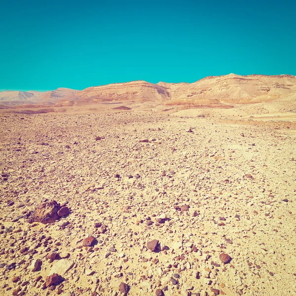 Пустеля в Ізраїлі — стокове фото