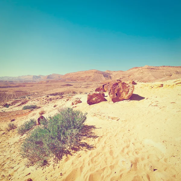Izrael-sivatagban — Stock Fotó