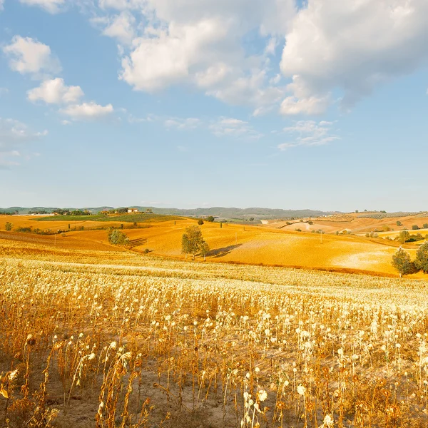 Landskapet i Italien — Stockfoto