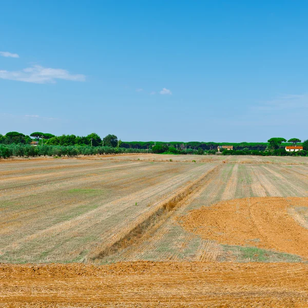 Landscape of Italy — Stock Photo, Image