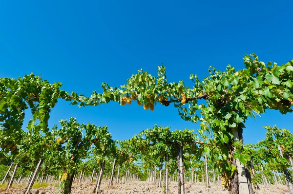 Landscape of Italy — Stock Photo, Image