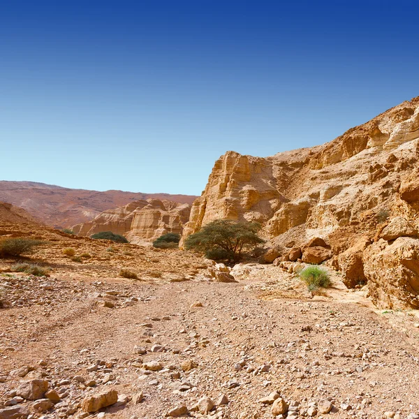 Deserto in Israele — Foto Stock