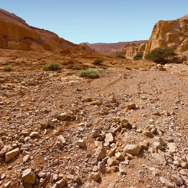 Desierto en Israel —  Fotos de Stock