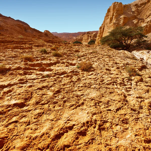 Desert in Israël — Stockfoto