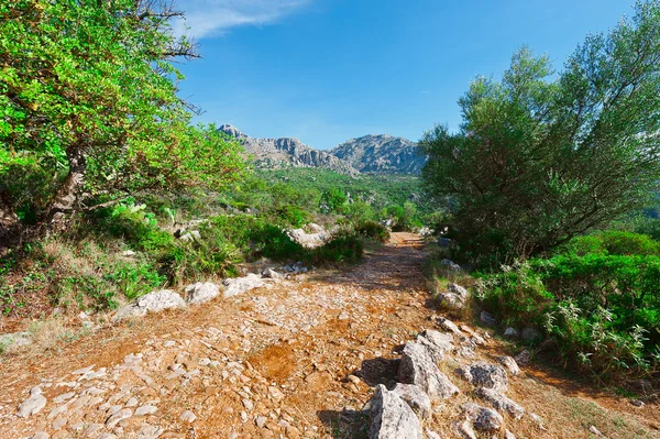 Dirt Road i Spanien - Stock-foto