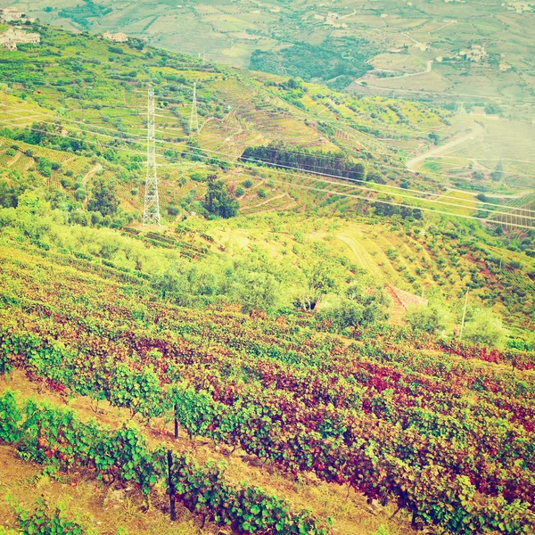 Eğimli tepeler, İspanya — Stok fotoğraf