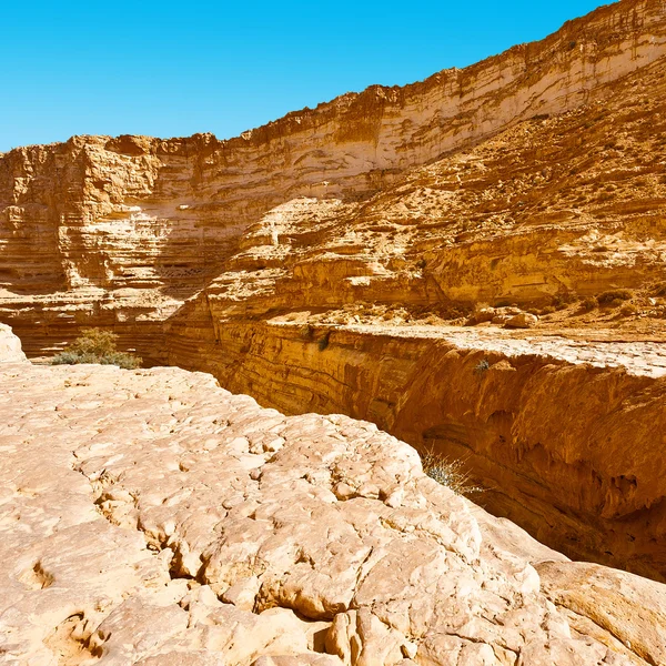 Canyon nl Avedat — Stockfoto