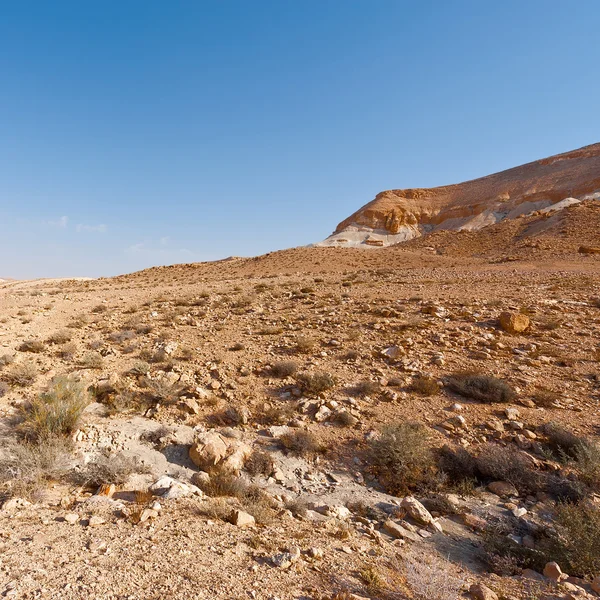 Öken i israel — Stockfoto