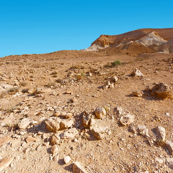 Wüste in Israel — Stockfoto