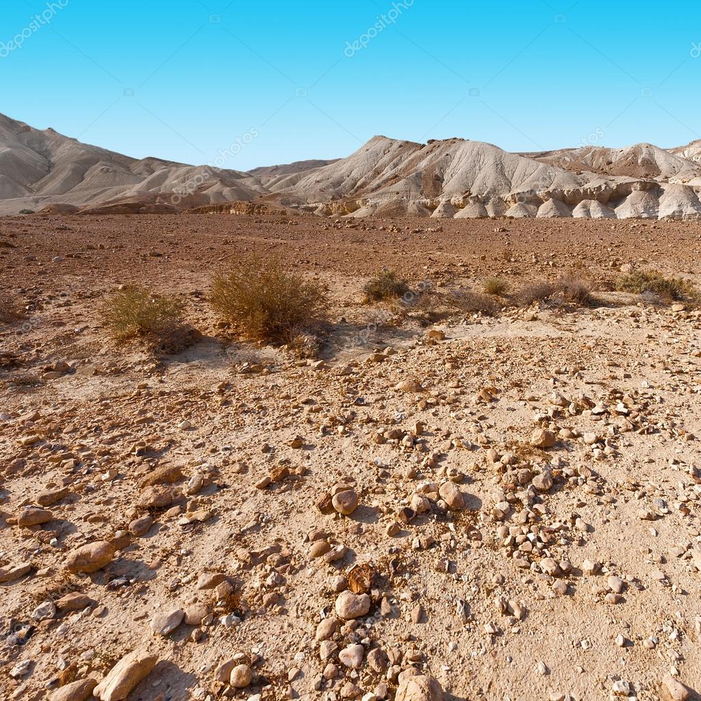 Wuste In Israel Stockfoto C Ggkuna