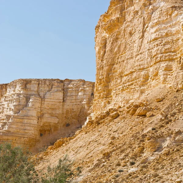 Canyon En Avedat — Stock Fotó