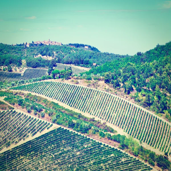 Vineyards in Italy — Stock Photo, Image