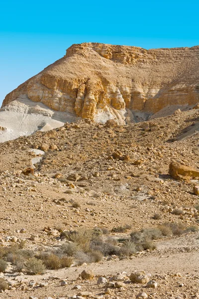 Canyon En Avedat — Stock Photo, Image