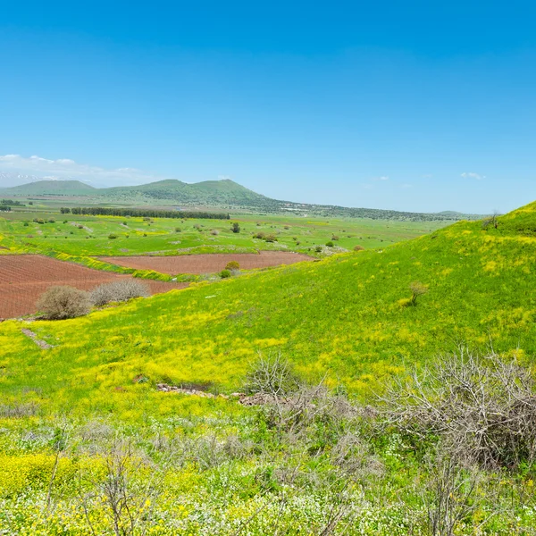 Golan Heights in Israël — Stockfoto