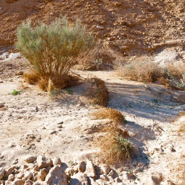 İsrail 'de Negev Çölü