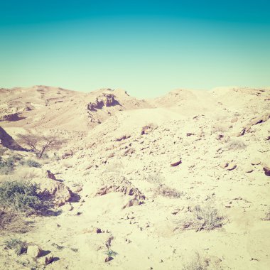 İsrail 'de Negev Çölü