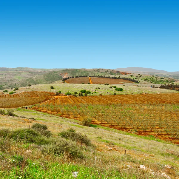 Campos da Galileia — Fotografia de Stock