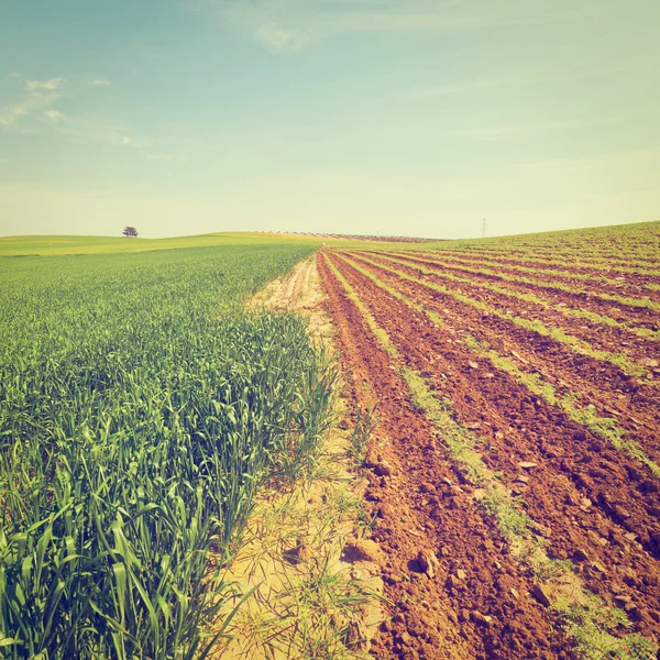 Dirt Road in Israel — Stock Photo, Image