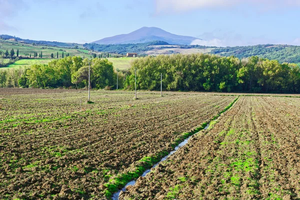 Collines De La Toscane — Photo