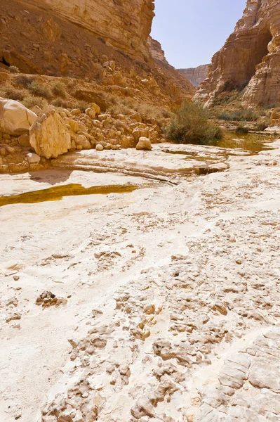 Canyon in Desert — Stock Photo, Image