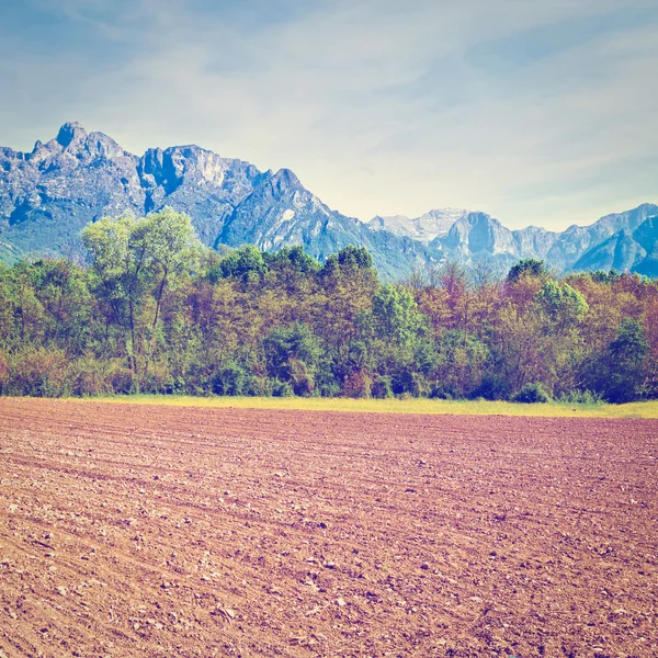 Campos fluidos en los Alpes — Foto de Stock