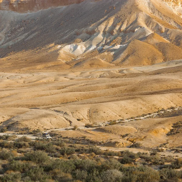 Désert en Israël — Photo