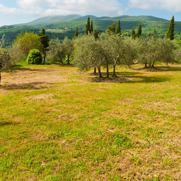 Parco paesaggistico in Italia — Foto Stock