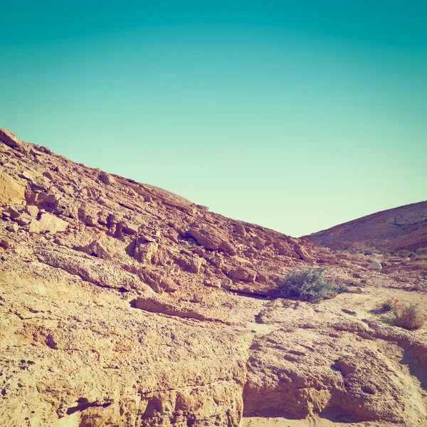 Negevöknen i Israel — Stockfoto