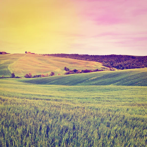 Meadows in Tuscany — Stock Photo, Image