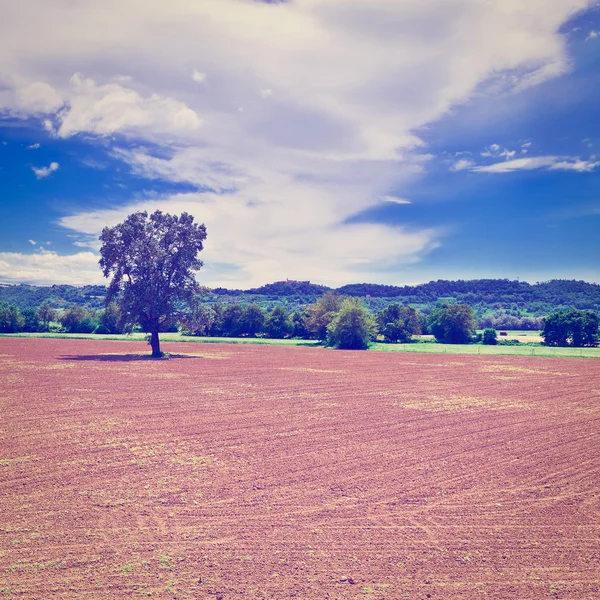 Plowed Fields in Italy — Stock Photo, Image