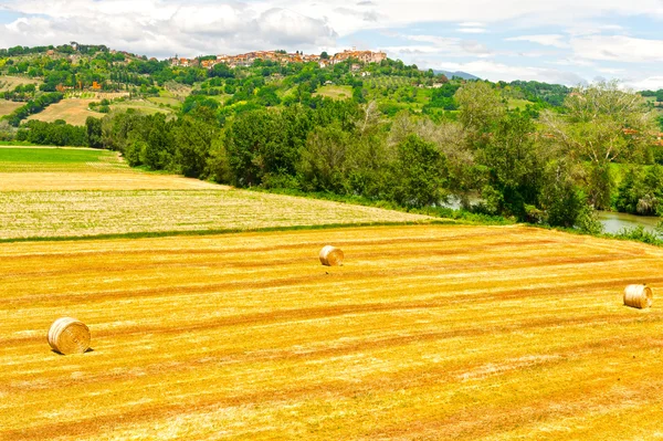 The Tuscany Landscape — Stockfoto