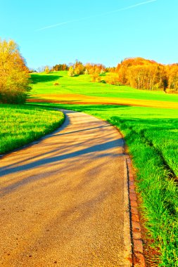 Asfalt yol Alpleri'nde