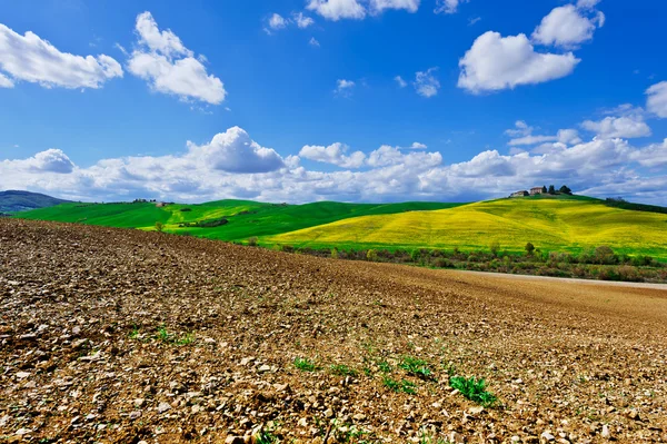 Toskana alanları — Stok fotoğraf