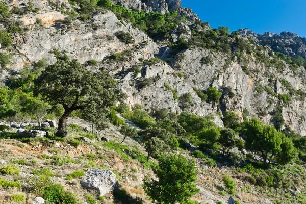 Mountains in Spain — Stock Photo, Image