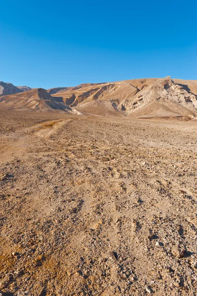Izrael-sivatagban — Stock Fotó